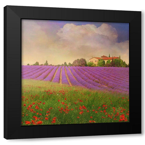 Lavender Fields IV Black Modern Wood Framed Art Print by Vest, Chris