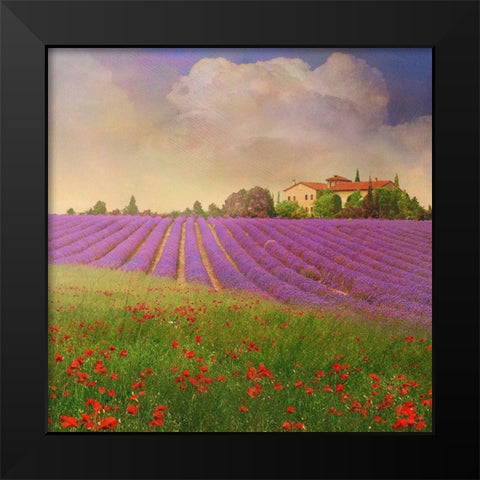 Lavender Fields IV Black Modern Wood Framed Art Print by Vest, Chris
