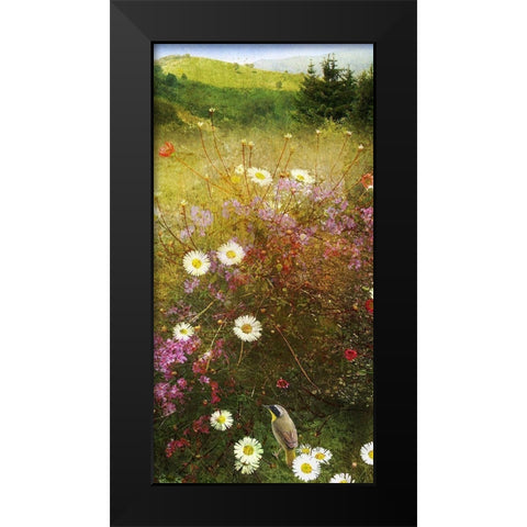 In the Meadow II Black Modern Wood Framed Art Print by Vest, Chris