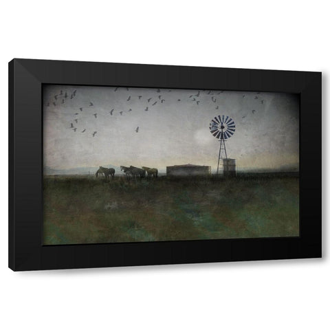Horse and Crows Black Modern Wood Framed Art Print by Vest, Chris