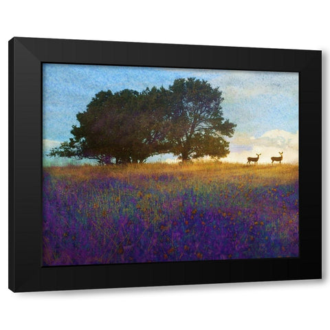 Tree Hill Flowers Black Modern Wood Framed Art Print with Double Matting by Vest, Chris