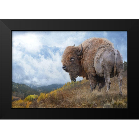 Golden Bison  Black Modern Wood Framed Art Print by Vest, Chris