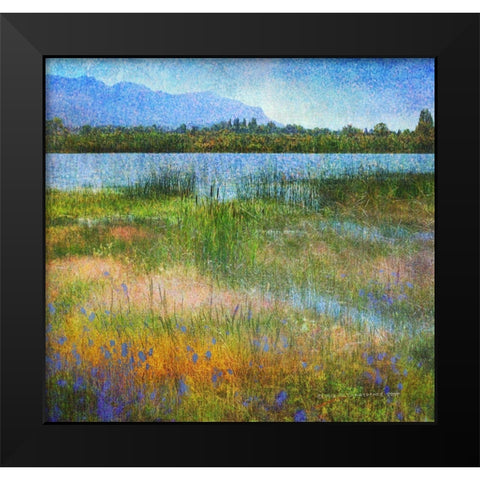 Lake Near Mesa Verde Black Modern Wood Framed Art Print by Vest, Chris