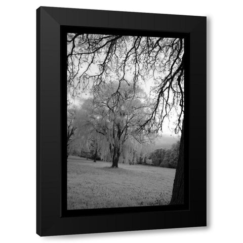 Infra Red Forest I Black Modern Wood Framed Art Print with Double Matting by Comfort, David