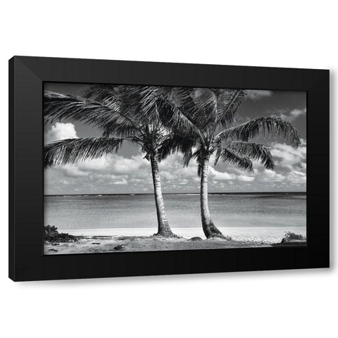 Summer Breezes I Black Modern Wood Framed Art Print with Double Matting by Frates, Dennis