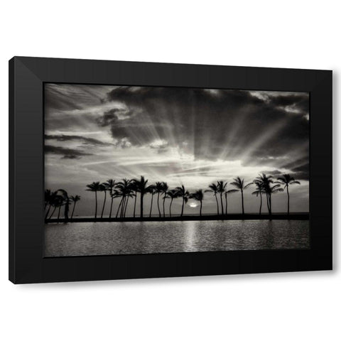Summer Breezes II Black Modern Wood Framed Art Print by Frates, Dennis