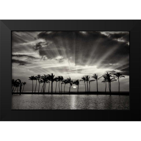 Summer Breezes II Black Modern Wood Framed Art Print by Frates, Dennis