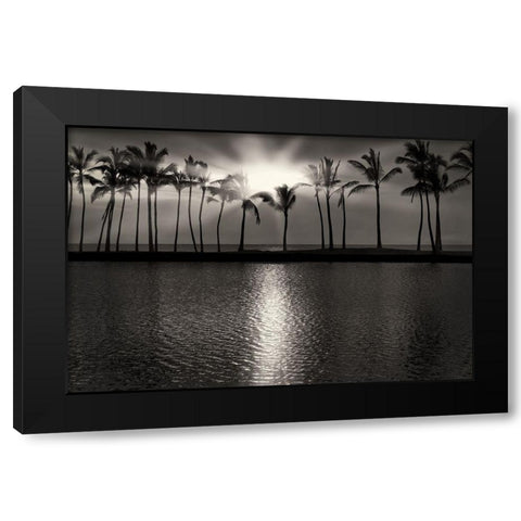 Summer Breezes III Black Modern Wood Framed Art Print with Double Matting by Frates, Dennis