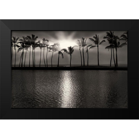 Summer Breezes III Black Modern Wood Framed Art Print by Frates, Dennis