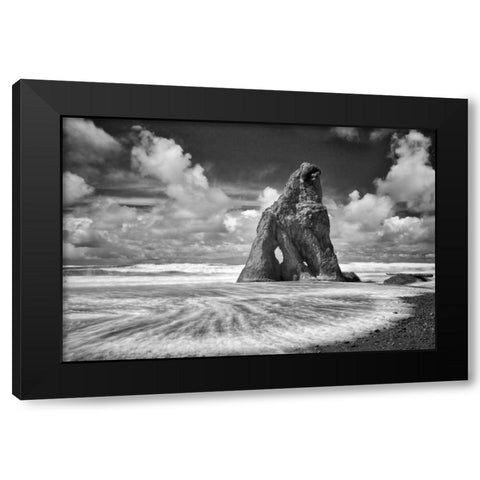 Preservation Black Modern Wood Framed Art Print by Frates, Dennis