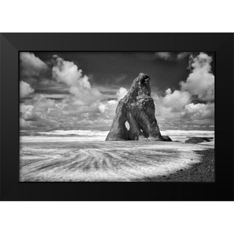 Preservation Black Modern Wood Framed Art Print by Frates, Dennis