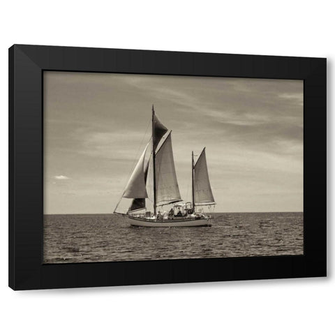 Stature Black Modern Wood Framed Art Print with Double Matting by Frates, Dennis