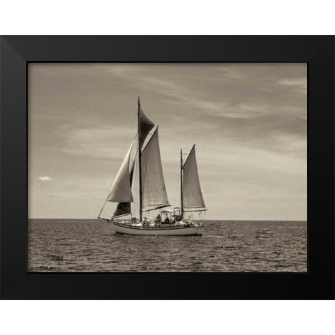Stature Black Modern Wood Framed Art Print by Frates, Dennis