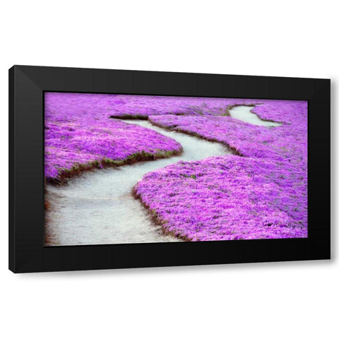Violet Path Black Modern Wood Framed Art Print by Frates, Dennis