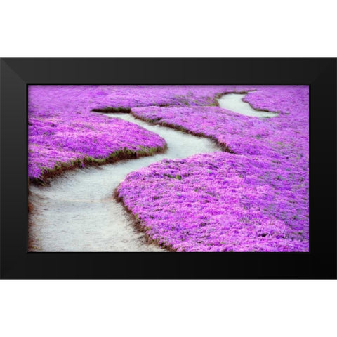Violet Path Black Modern Wood Framed Art Print by Frates, Dennis