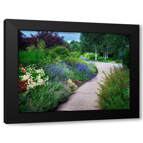 Garden Pathway Black Modern Wood Framed Art Print by Frates, Dennis