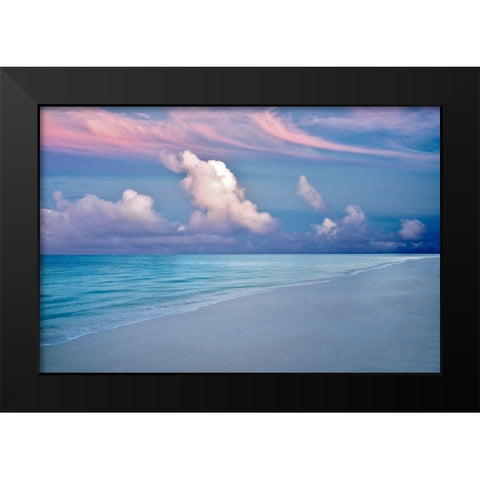 Skyfall II Black Modern Wood Framed Art Print by Frates, Dennis