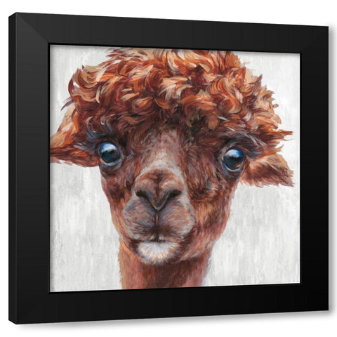 Alpaca I Black Modern Wood Framed Art Print by Perejogina, Dina