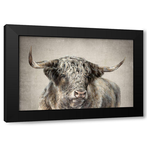 Grand Kyloe Bull  Black Modern Wood Framed Art Print with Double Matting by Perejogina, Dina