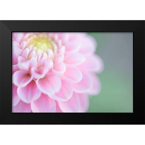 Pink Cups Black Modern Wood Framed Art Print by Kirshner, Dmitry