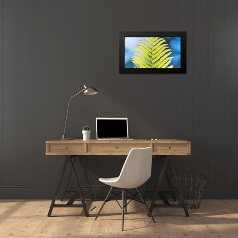 Poise Black Modern Wood Framed Art Print by Kirshner, Dmitry