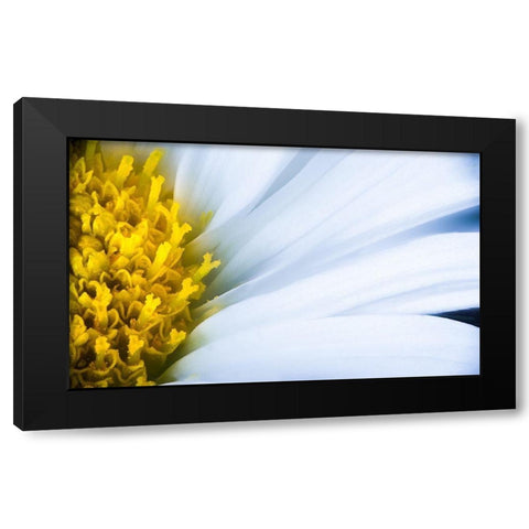 Soft Reach Black Modern Wood Framed Art Print with Double Matting by Kirshner, Dmitry