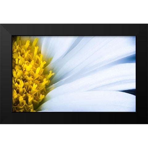 Soft Reach Black Modern Wood Framed Art Print by Kirshner, Dmitry