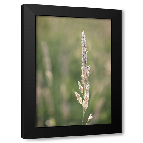 Basking in Summar Sun Black Modern Wood Framed Art Print by Kirshner, Dmitry