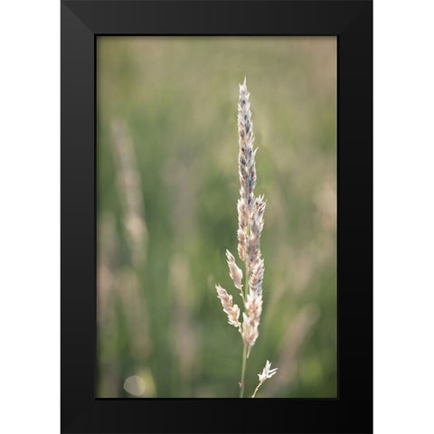 Basking in Summar Sun Black Modern Wood Framed Art Print by Kirshner, Dmitry