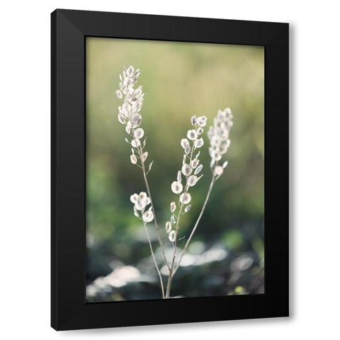 Summer Field Black Modern Wood Framed Art Print by Kirshner, Dmitry