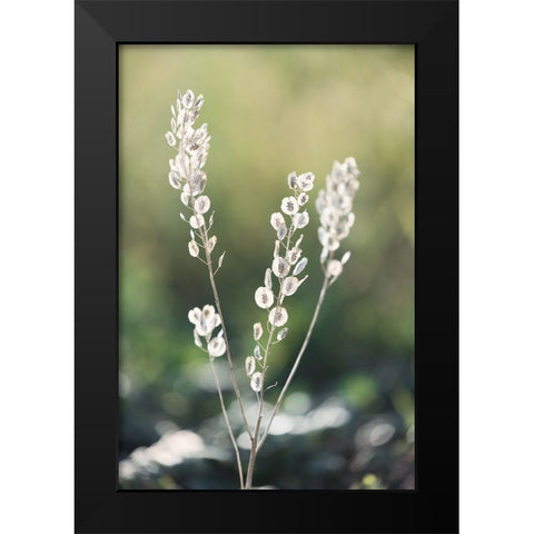 Summer Field Black Modern Wood Framed Art Print by Kirshner, Dmitry