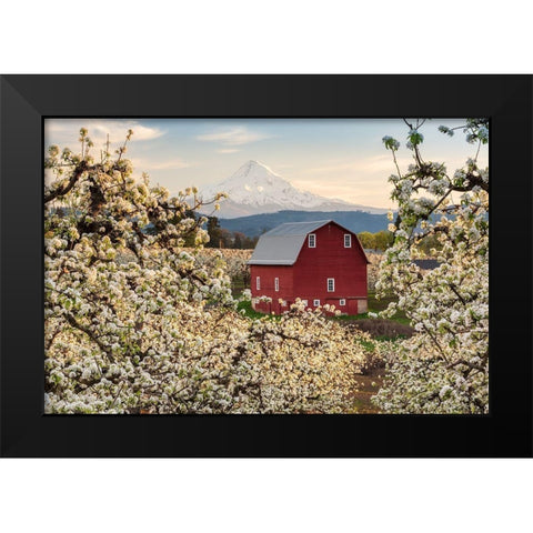 Fairytale Barn Black Modern Wood Framed Art Print by Daultich, Nick