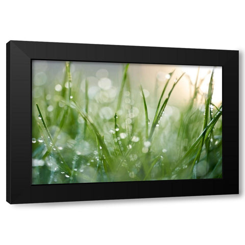 After The Rain  Black Modern Wood Framed Art Print by Daultich, Nick