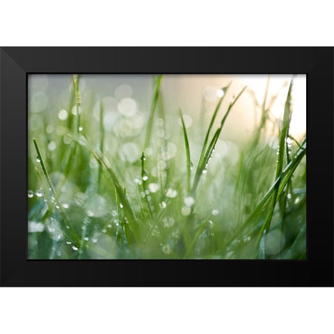 After The Rain  Black Modern Wood Framed Art Print by Daultich, Nick