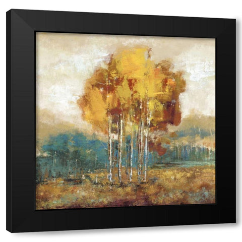 Weathered Scape I Black Modern Wood Framed Art Print by Dolce, Carmen