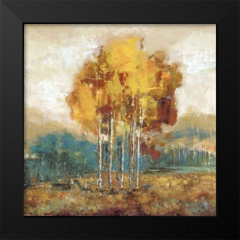 Weathered Scape I Black Modern Wood Framed Art Print by Dolce, Carmen