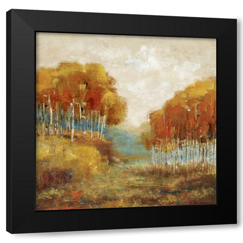 Weathered Scape II Black Modern Wood Framed Art Print by Dolce, Carmen