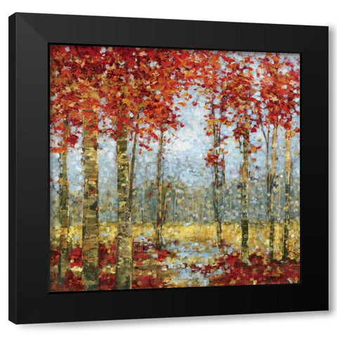 Into the Light II Black Modern Wood Framed Art Print by Dolce, Carmen