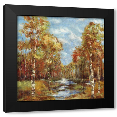 The Clearing Black Modern Wood Framed Art Print with Double Matting by Dolce, Carmen