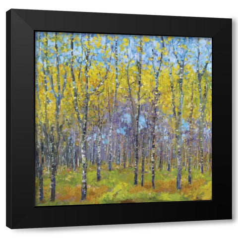 A Spring Day Black Modern Wood Framed Art Print with Double Matting by Dolce, Carmen