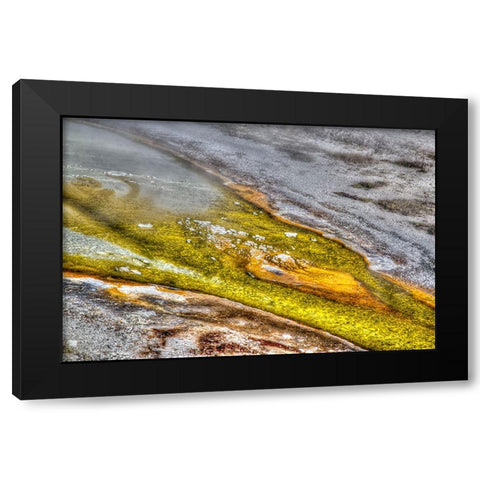 Bacteria I Black Modern Wood Framed Art Print with Double Matting by Dulius, Peter