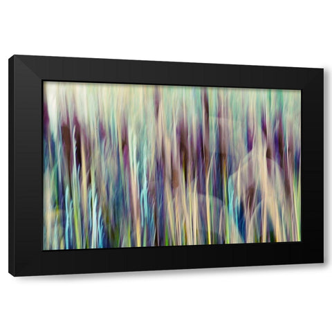 Colors of Canada I Black Modern Wood Framed Art Print by SD Enterprises