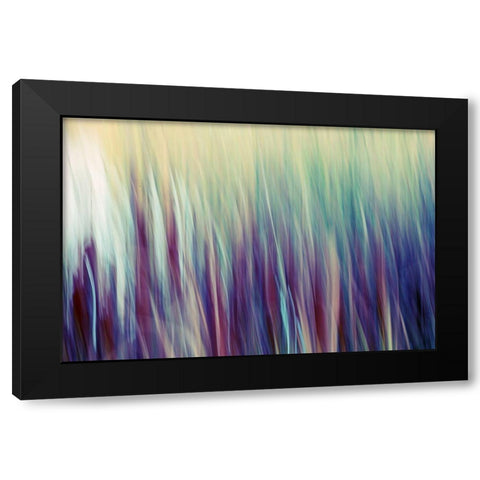 Colors of Canada II Black Modern Wood Framed Art Print by SD Enterprises