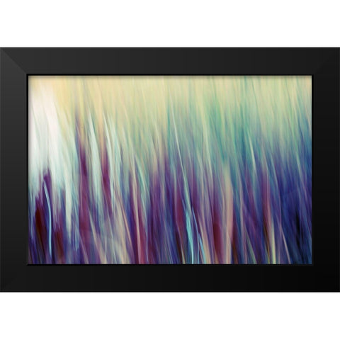 Colors of Canada II Black Modern Wood Framed Art Print by SD Enterprises