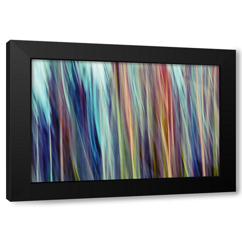 Colors of Canada III Black Modern Wood Framed Art Print with Double Matting by SD Enterprises