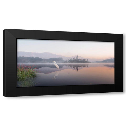 Egret Lake Black Modern Wood Framed Art Print with Double Matting by Desmarais, Richard
