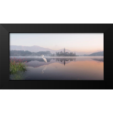 Egret Lake Black Modern Wood Framed Art Print by Desmarais, Richard