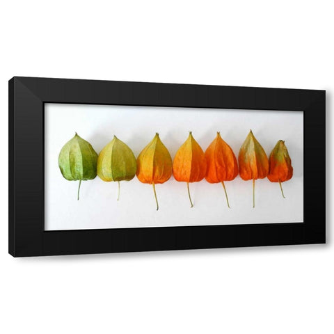 Chinese Lanterns III Black Modern Wood Framed Art Print with Double Matting by Savogne, Daniela