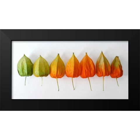 Chinese Lanterns III Black Modern Wood Framed Art Print by Savogne, Daniela