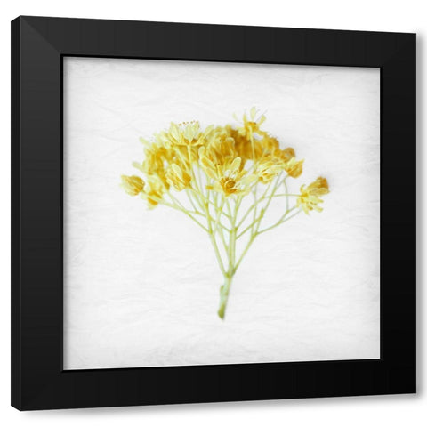 Meditative Yellow Black Modern Wood Framed Art Print with Double Matting by Savone, Daniela
